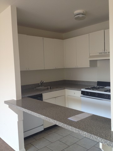 1 Bedroom Apt in Elevator Bldg - H/HW/G - Laundry - Parking Available - White Plains